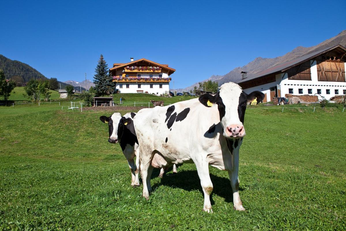 Schneiderhof, Chalet, Urlaub Auf Dem Bauernhof リダンナ エクステリア 写真